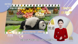 做秘书的事